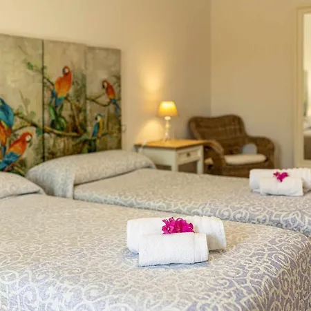 فيلة Vulcano By Calima *